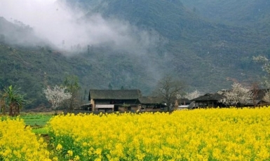 7 paradise destinations in Vietnam