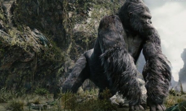  Ninh Binh, Quang Binh & Ha Long are chosen to shot King Kong 2