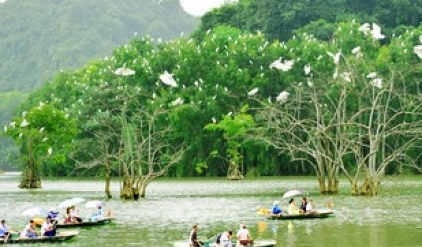 Hoa Lu – Thung Nham 1 day