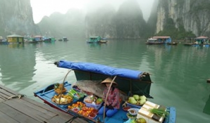 Deluxe Ha Long bay 1 day