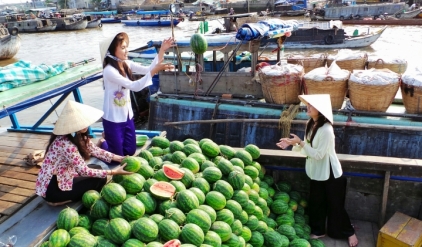 Vietnam Floating Village Cruise