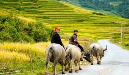 Sa Pa tours 3 days by Bus