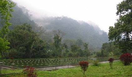Walking through Cuc Phuong national park