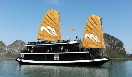 Paradise privilege junk