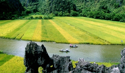 Amazing week in Vietnam